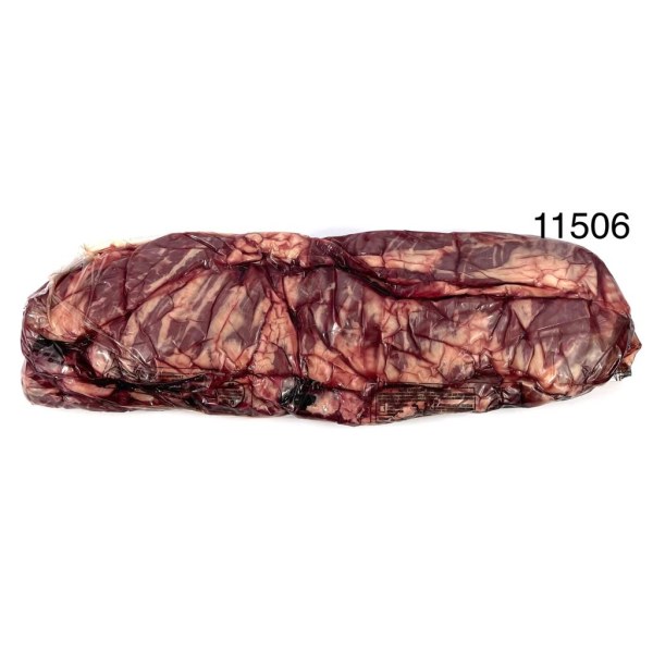 ENTRANA PELADA N/R IBP. 10/5LB