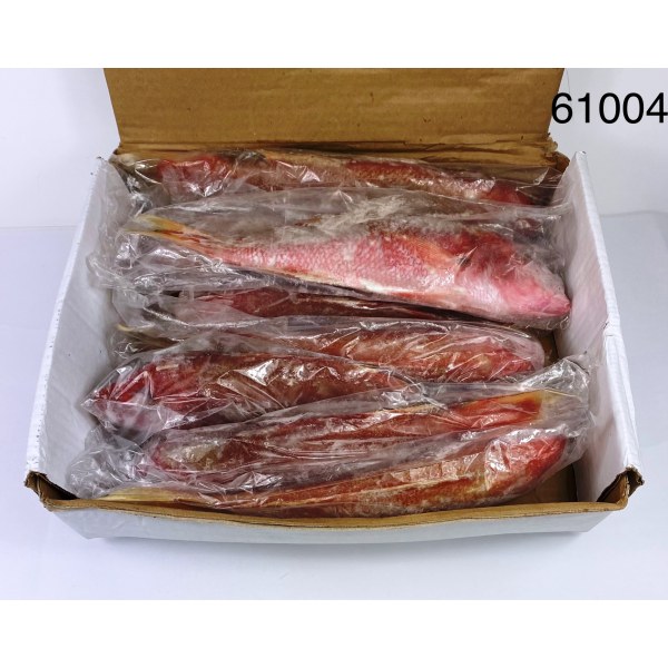 RED SNAPPER WHOLE/PARGO ENTERO VENE/BRAZ. 8/1.25LB