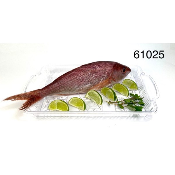PARGO ROJO CRIMSOM 1-2 CO2 COV VIETNAM. 10/2LB