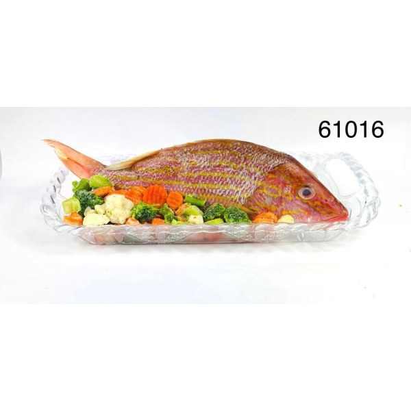 LANE SNAPPER/BIAJAIBA 1.5-2LB. 6/1.7LB
