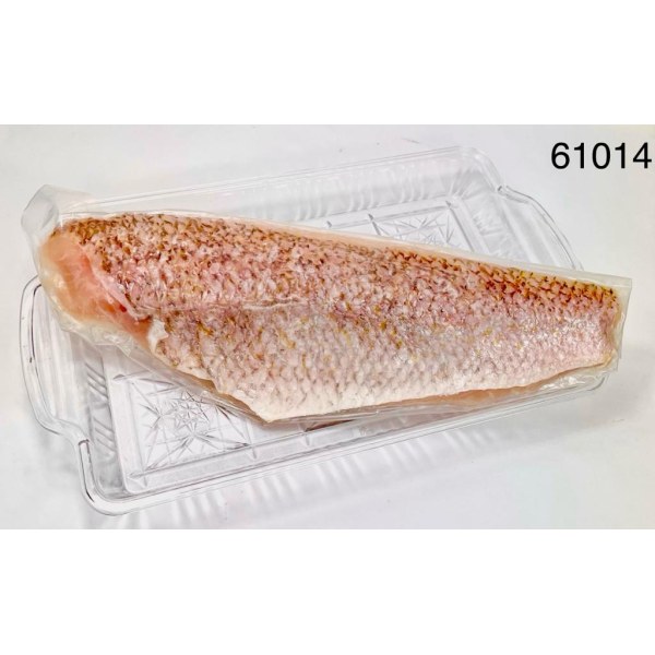 SNAPPER SCARLET FILLET 1-3 S/ON   PARGO. 4/2.5LB